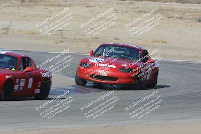 media/Nov-04-2023-CalClub SCCA (Sat) [[cb7353a443]]/Group 3/Cotton Corners (Race)/